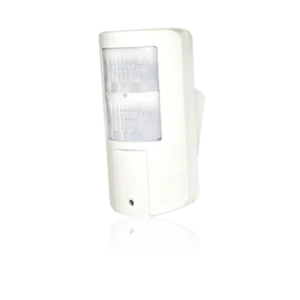 Beyond DT Outdoor Detector