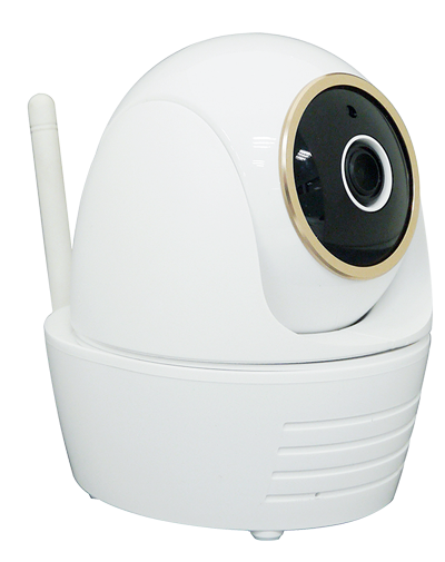 Wirelesspt cam R Maxwell Security System