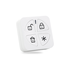 Panda 2-Way Keyfob
