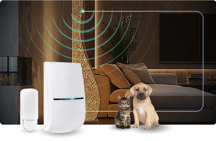 PIR Motion Detector